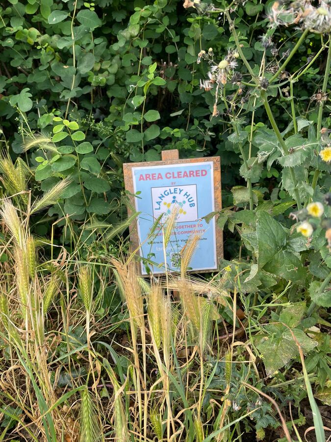 Verge Clearing West Common 6 June 2025
